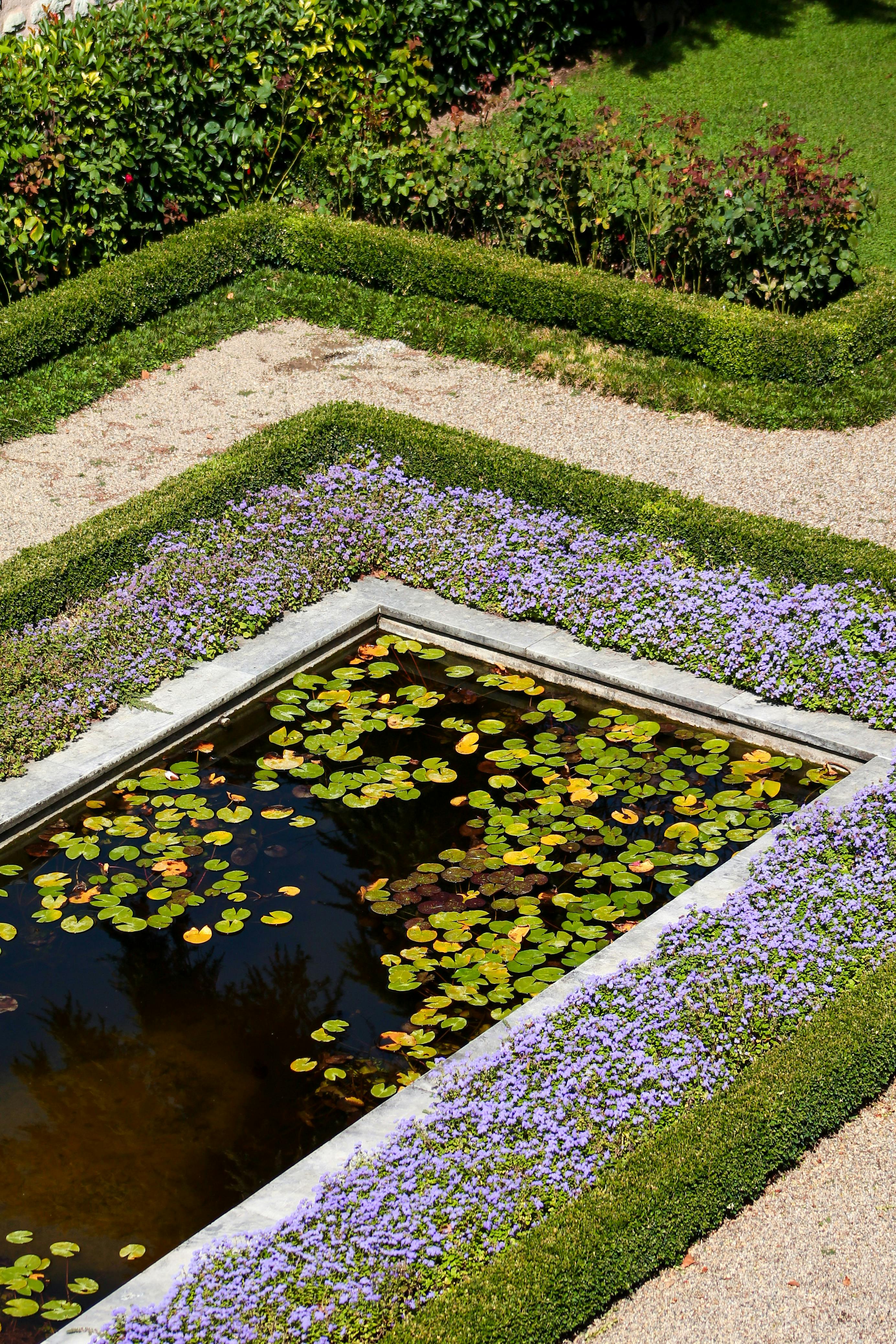 Jardin
